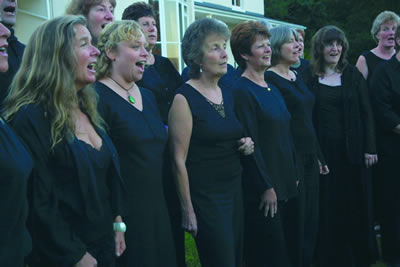 Llanidloes Community Choir (Wild Angels)